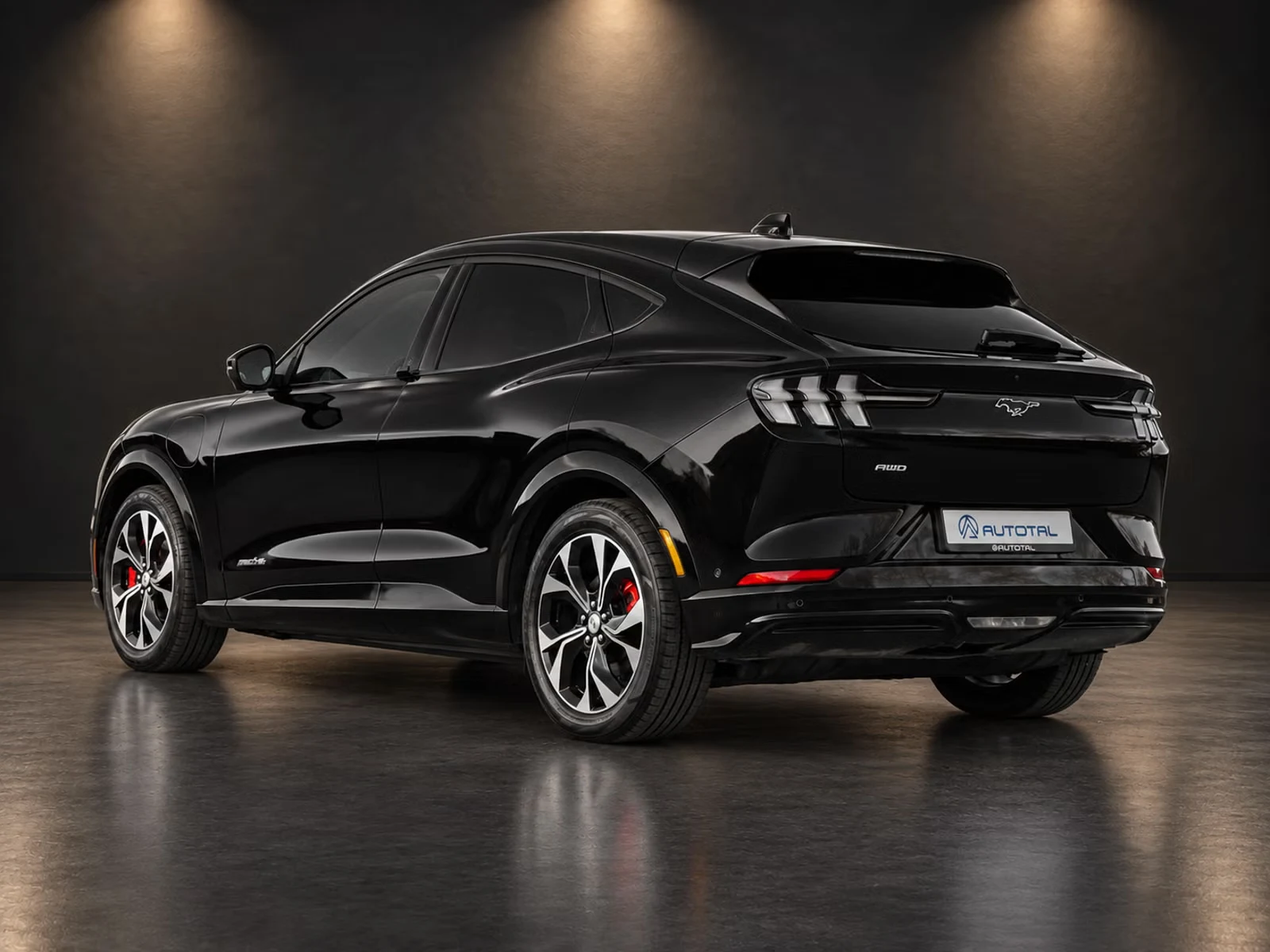 Ford Mustang Mach-E - Photo 8