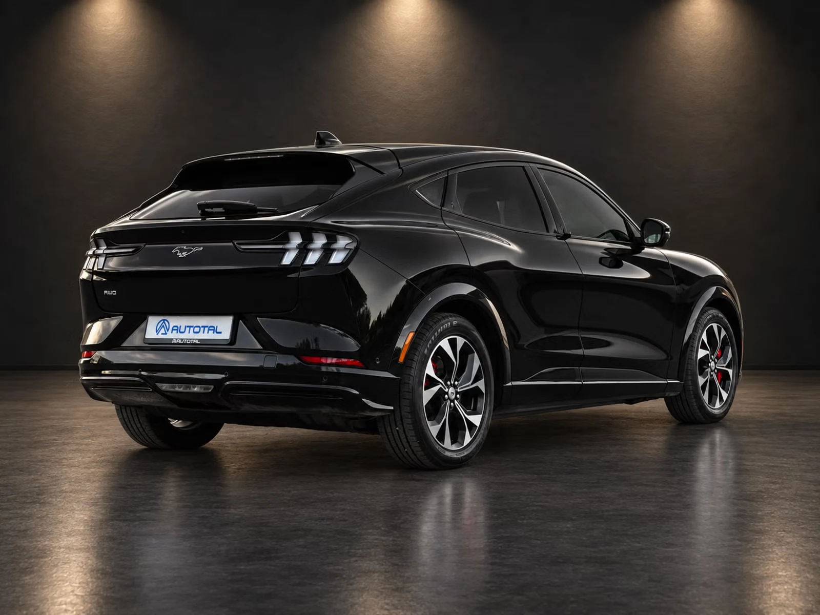 Ford Mustang Mach-E - Photo 10