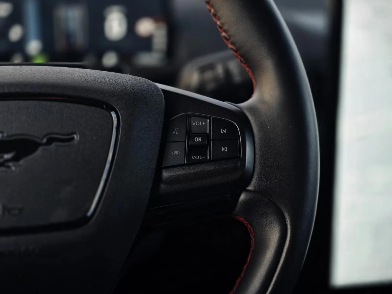 Ford Mustang Mach-E - Photo 25